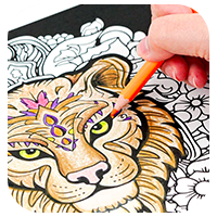 Livre de coloriage